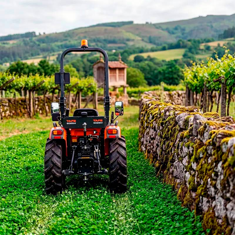 Tractores Tafe pequeños